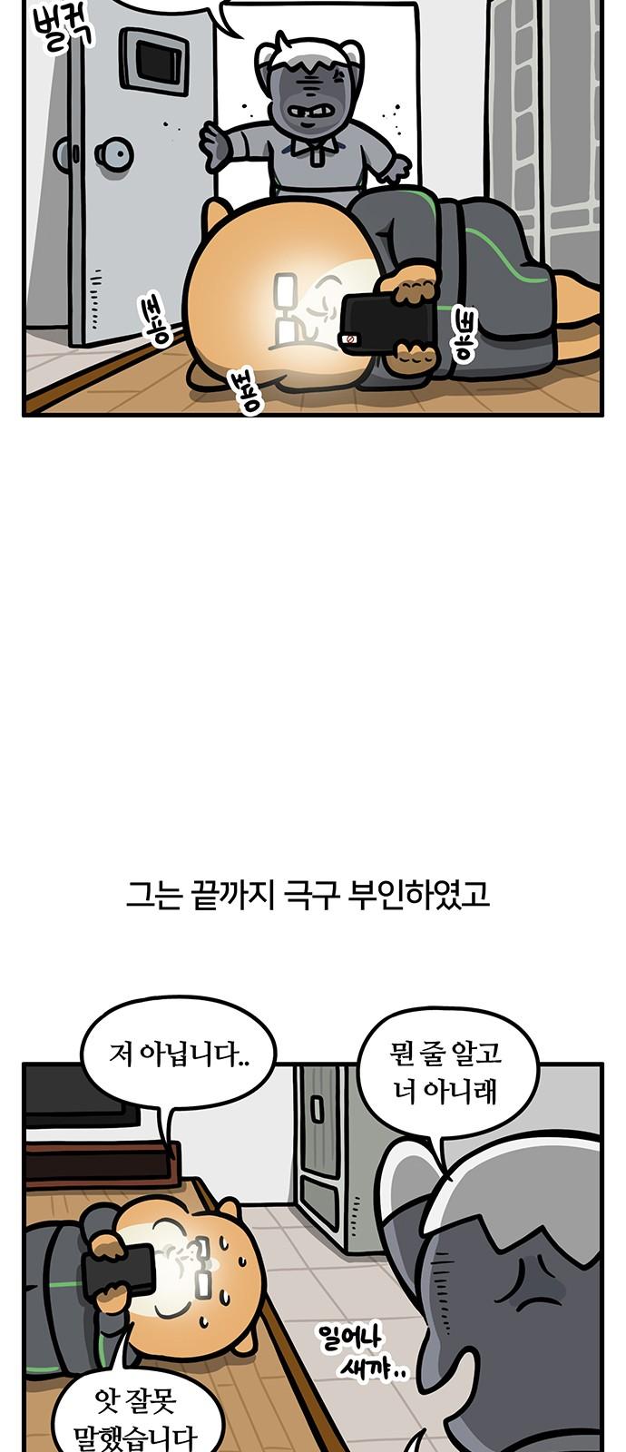 1738458746780hwz6x4y4a58.jpg