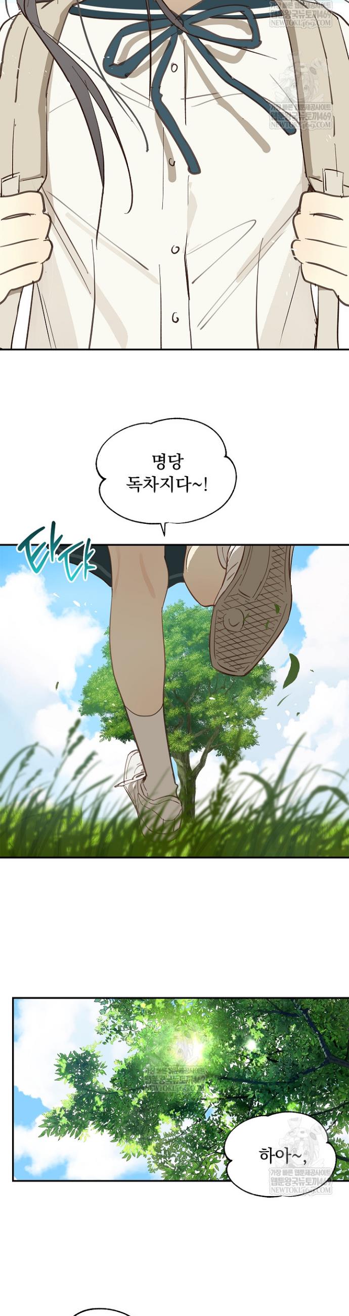 003.jpg